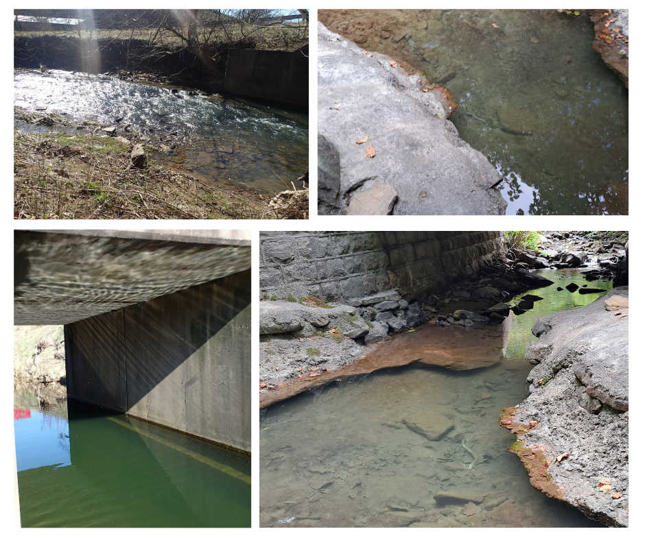 Pictures of the Scour Bridge Mitigation and Preservation project location